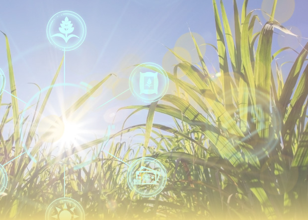 Smart Environment